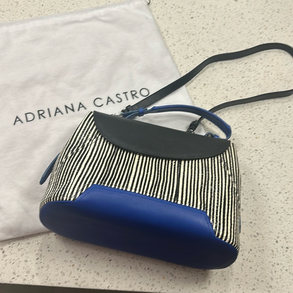 Adriana Castro Anka Satchel in water snake and leather